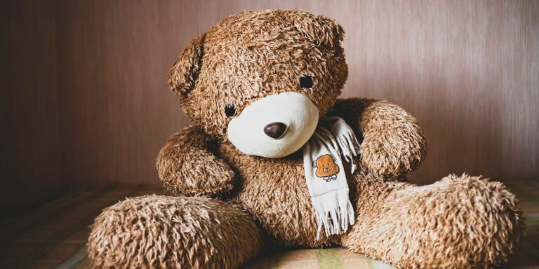 peluche oubliée